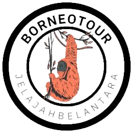 Logo_Borneo_Tour-removebg-preview